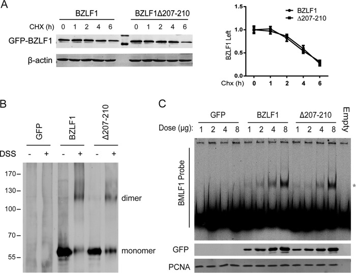 FIG 3