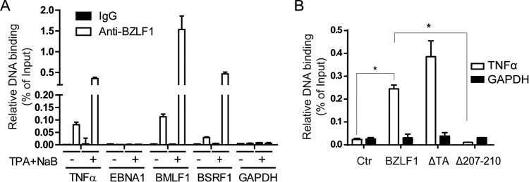 FIG 5