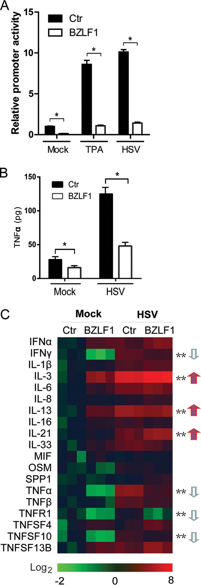 FIG 1