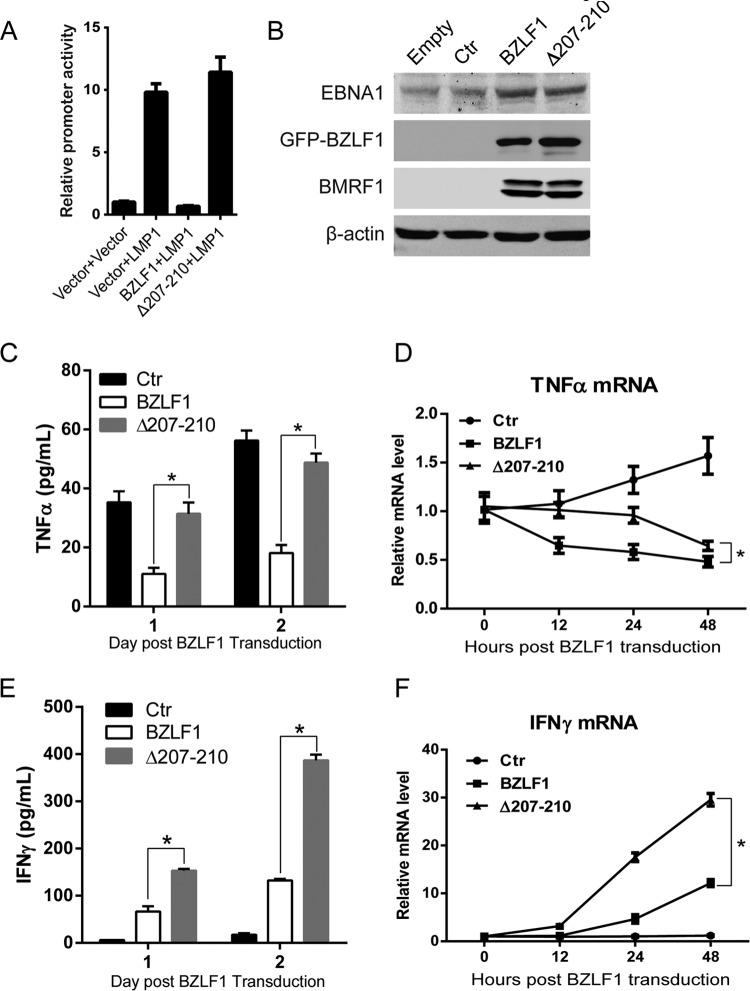 FIG 6