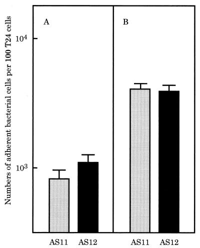 FIG. 6