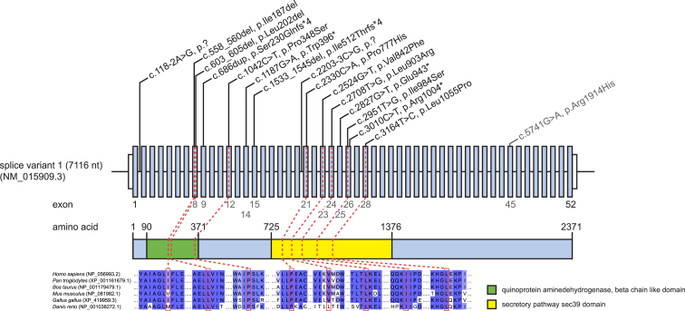 Figure 2