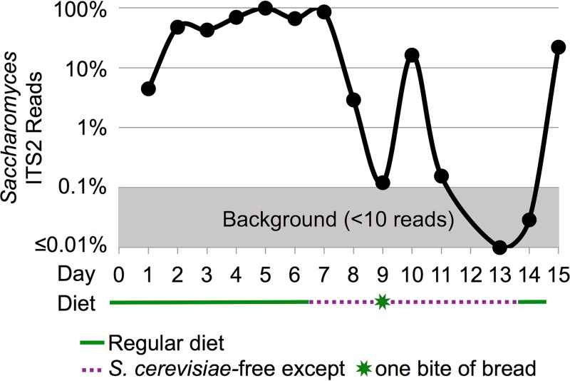 FIG 4 