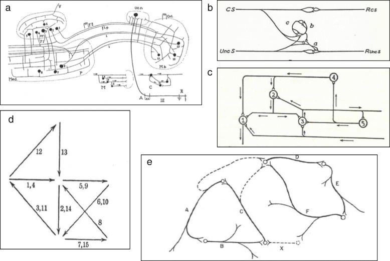 Fig. 4