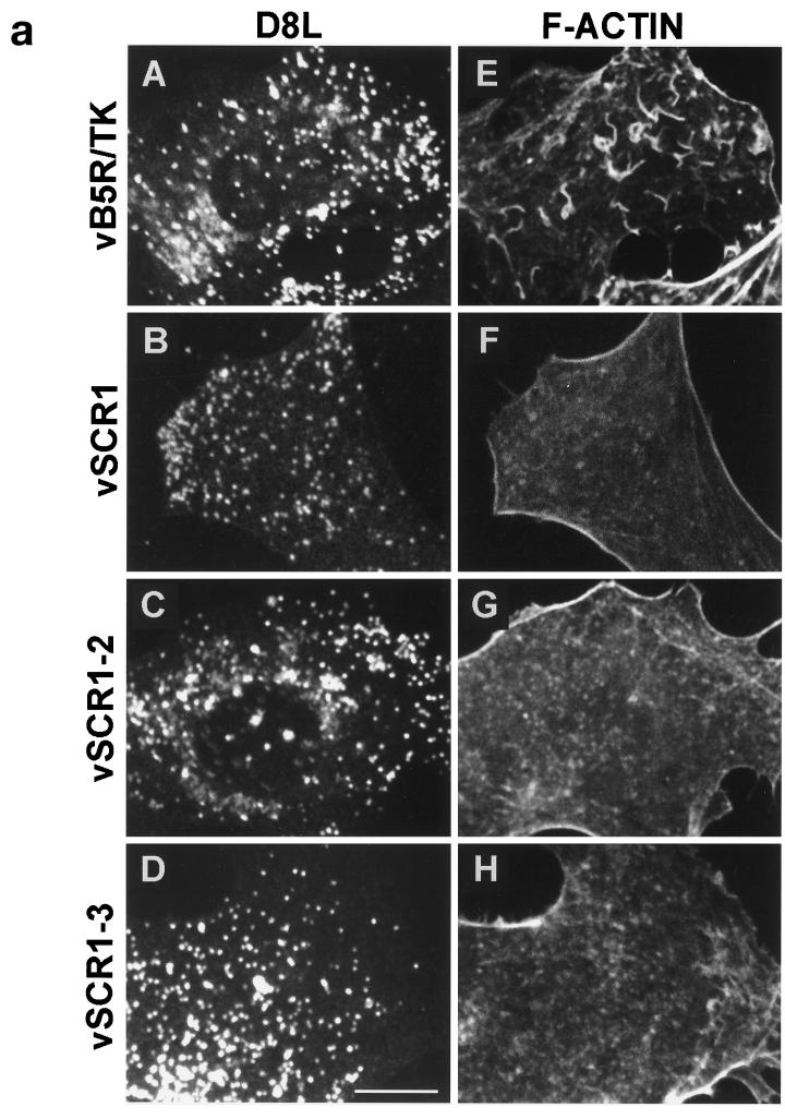 FIG. 10