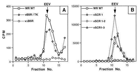 FIG. 8