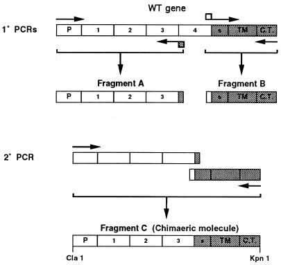 FIG. 1