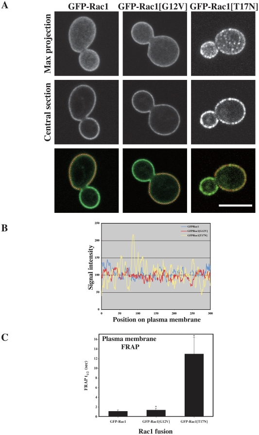 Figure 6