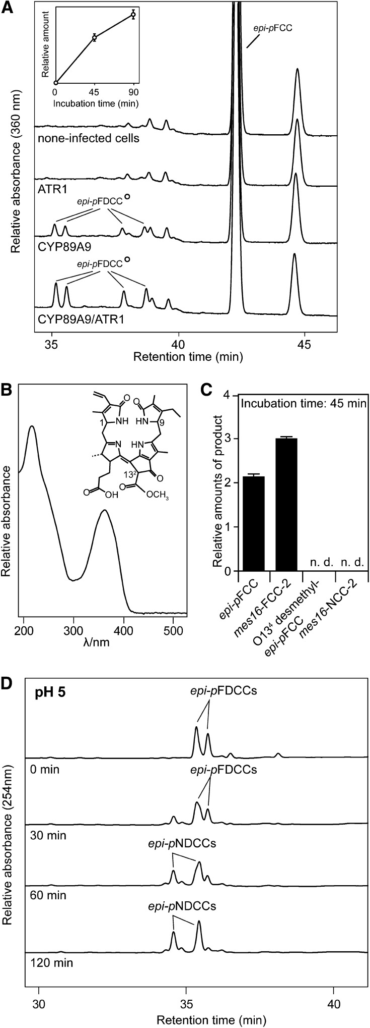 Figure 6.