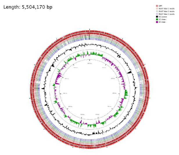 Figure 5