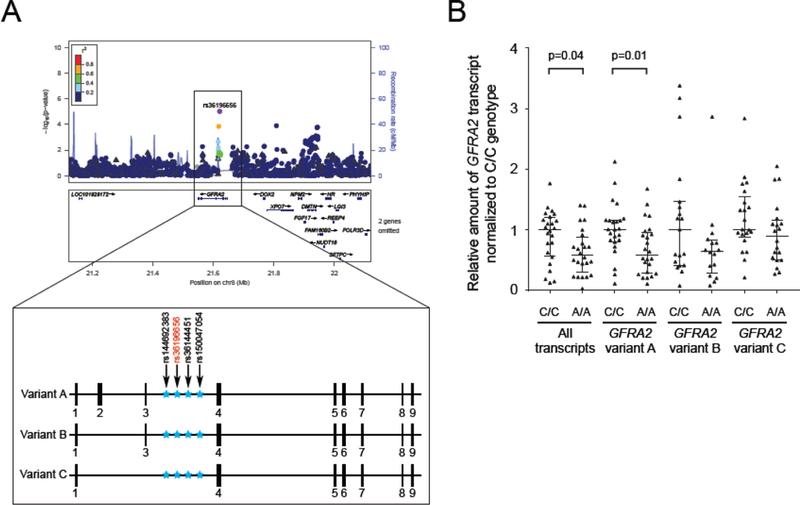 Figure 2: