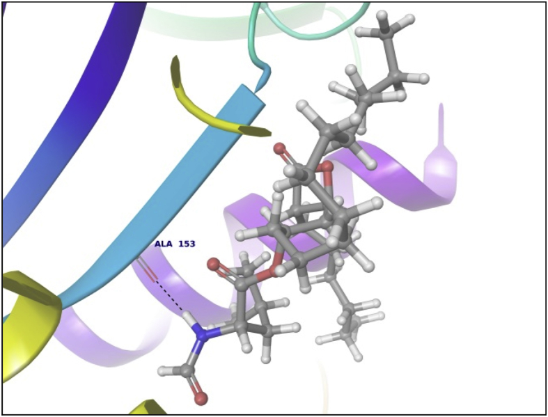 Fig. 10