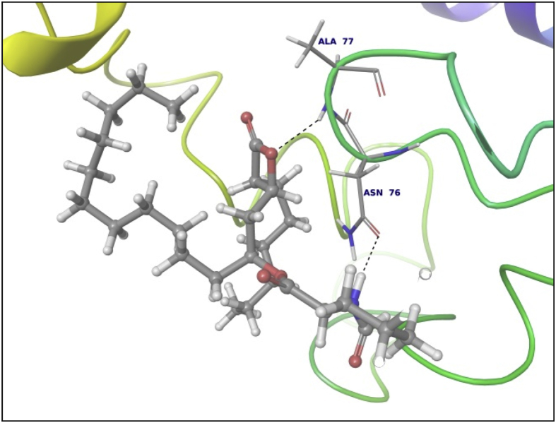 Fig. 12