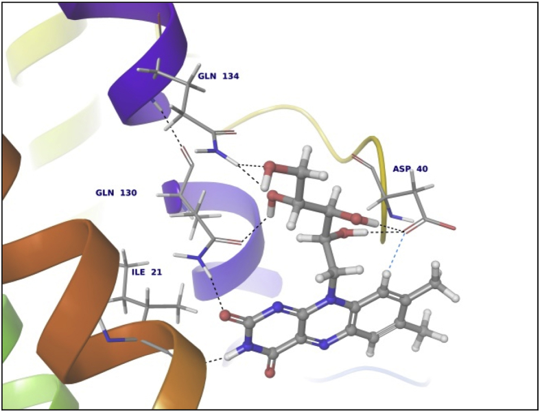 Fig. 7