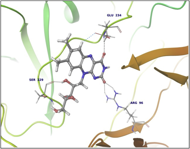 Fig. 3