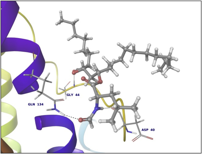 Fig. 8