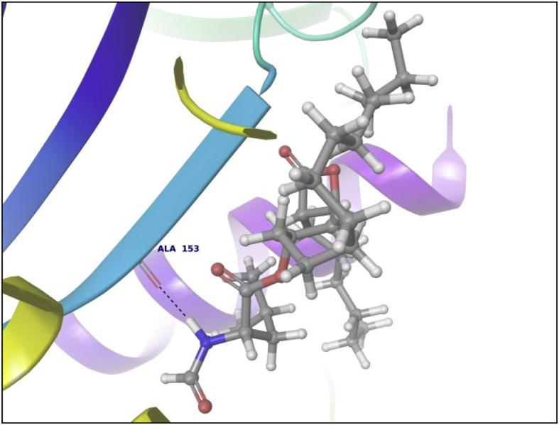 Fig. 14