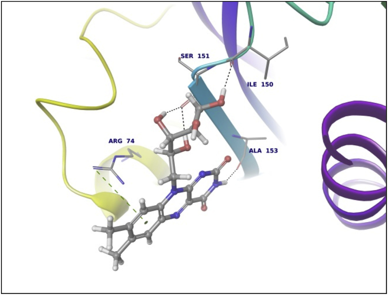 Fig. 9