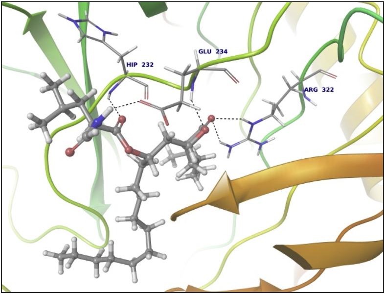 Fig. 4