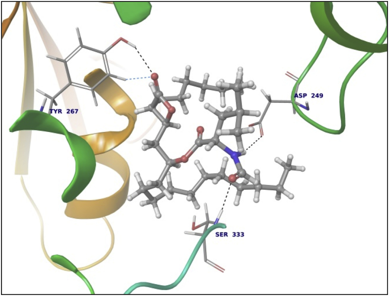 Fig. 2