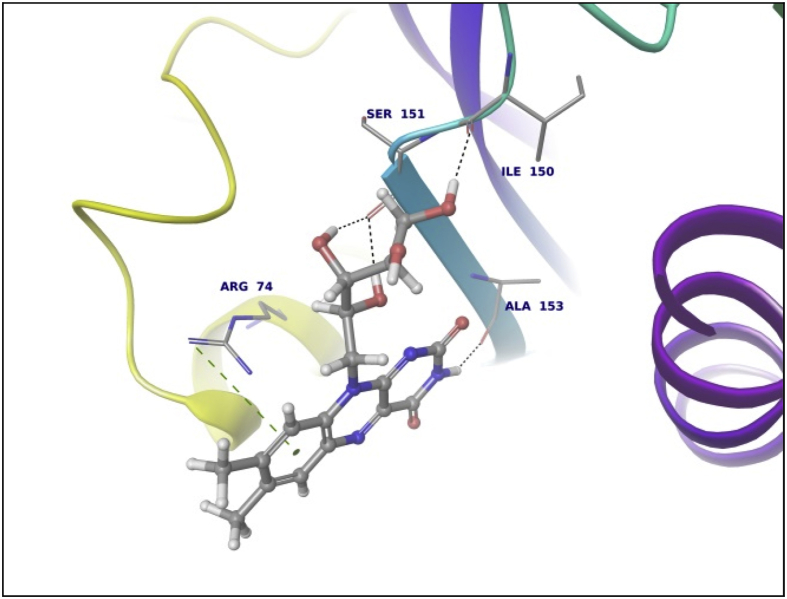 Fig. 13