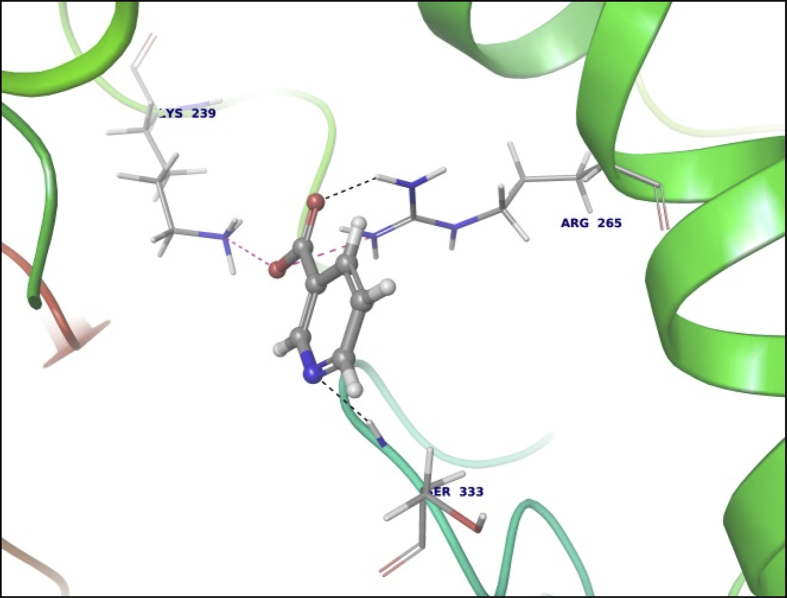 Fig. 1