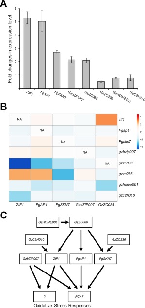 Figure 6