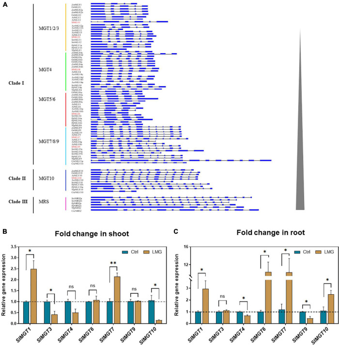 FIGURE 3