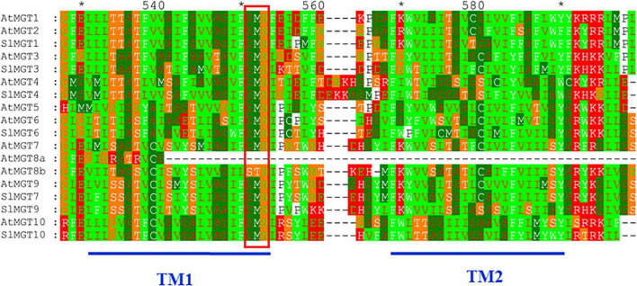 FIGURE 4