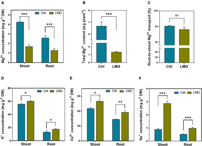 FIGURE 1