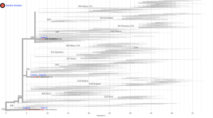 Fig 2