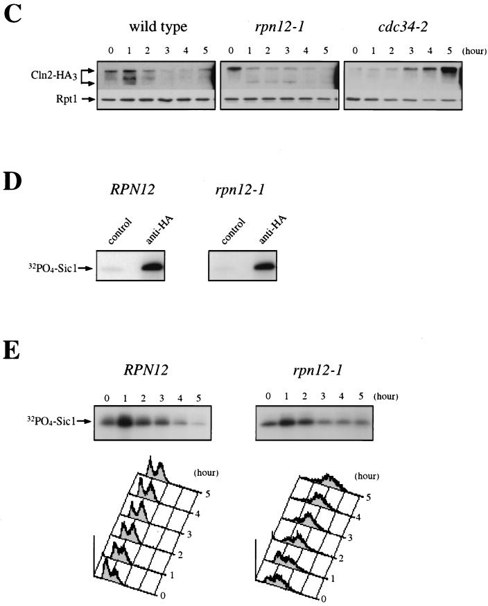 FIG. 9