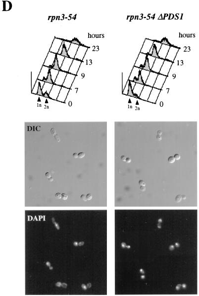 FIG. 5