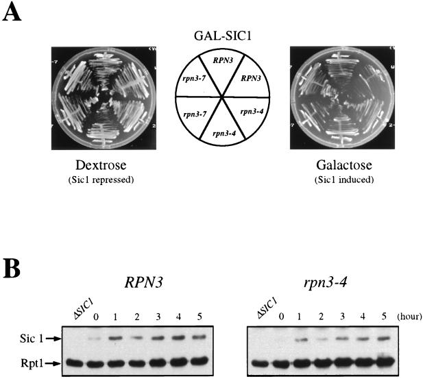 FIG. 8