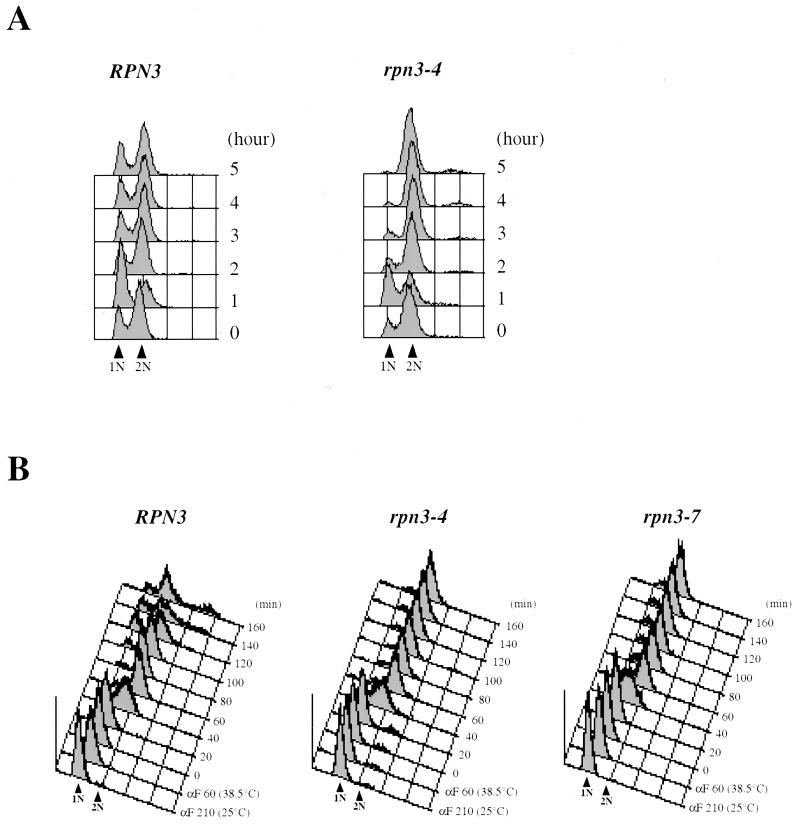 FIG. 3