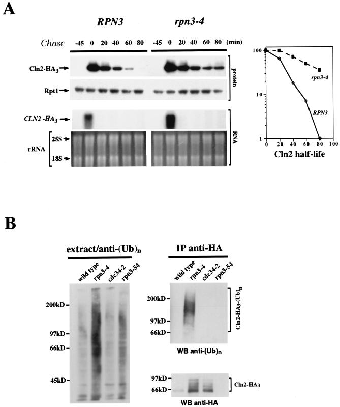 FIG. 6