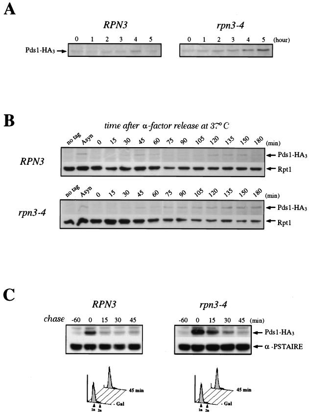 FIG. 5