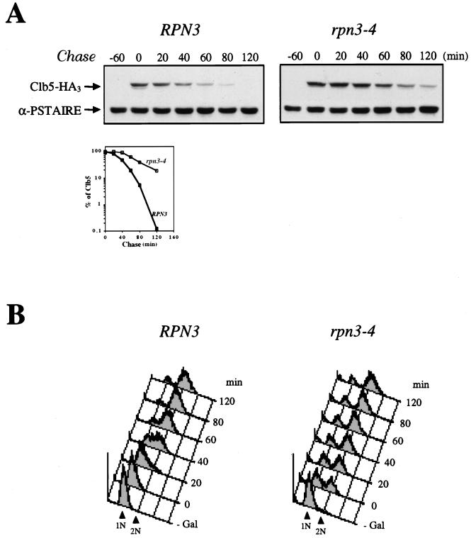 FIG. 7