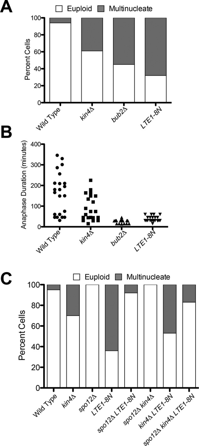 FIGURE 6: