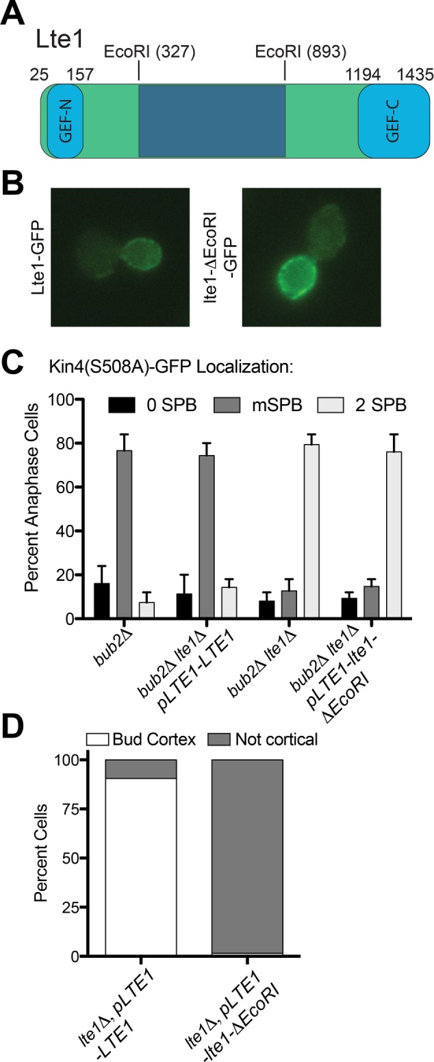 FIGURE 7: