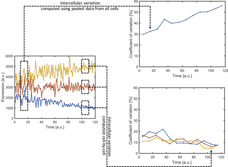 Figure 6