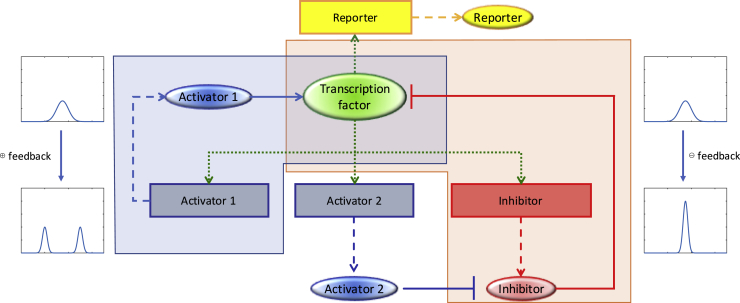 Figure 5