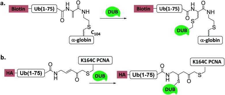 Fig. 11