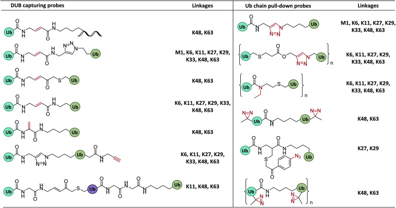 Fig. 10