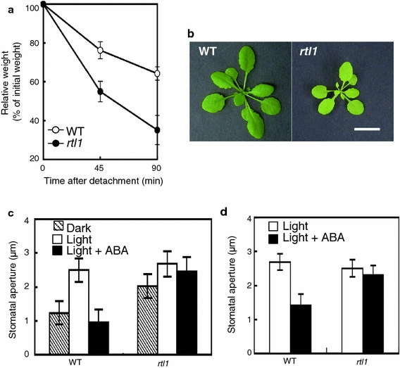 Fig. 1