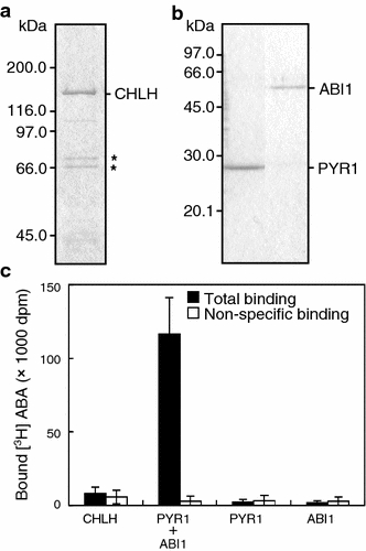 Fig. 4