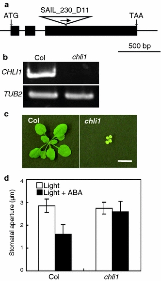 Fig. 6