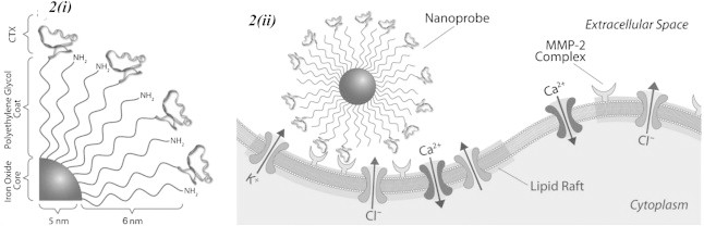 Fig. 2