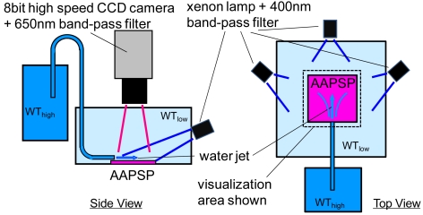 Figure 11.