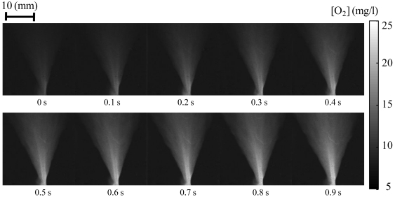 Figure 13.